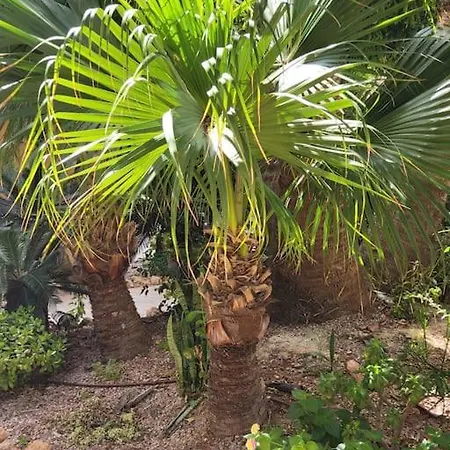 Lägenhet Casa De Flores *