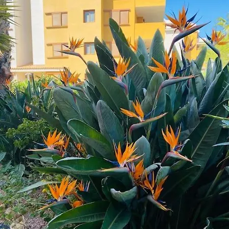 Casa De Flores *